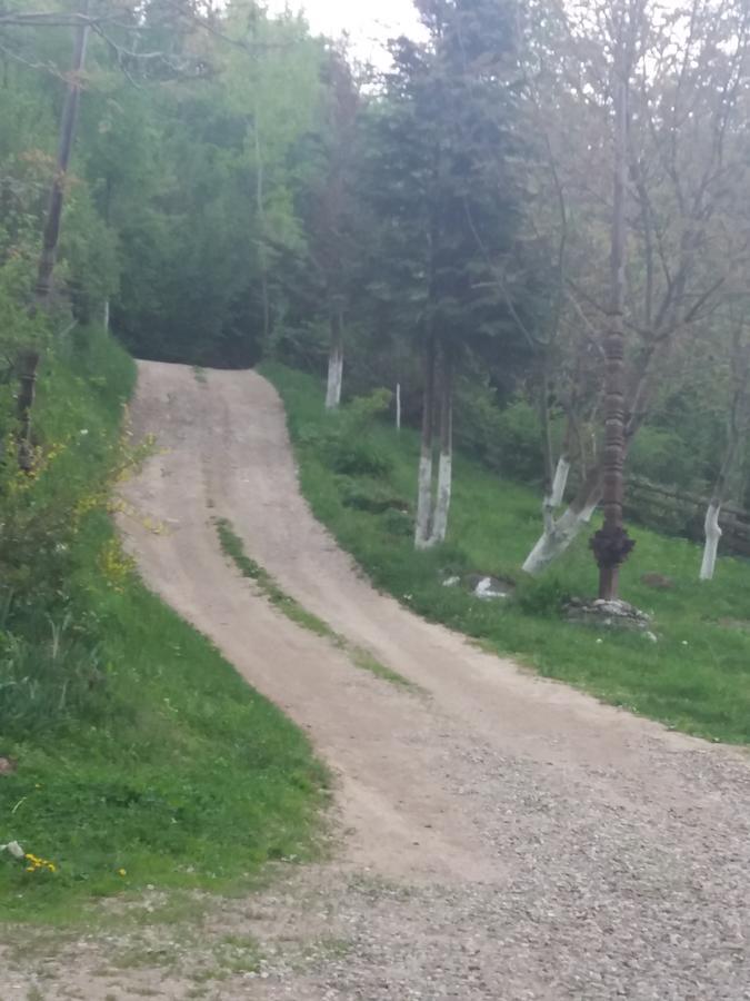 Cabana Victor Sighetu Marmaţiei Esterno foto