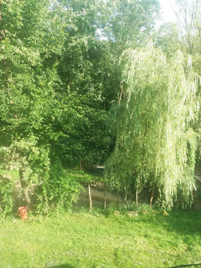 Cabana Victor Sighetu Marmaţiei Esterno foto