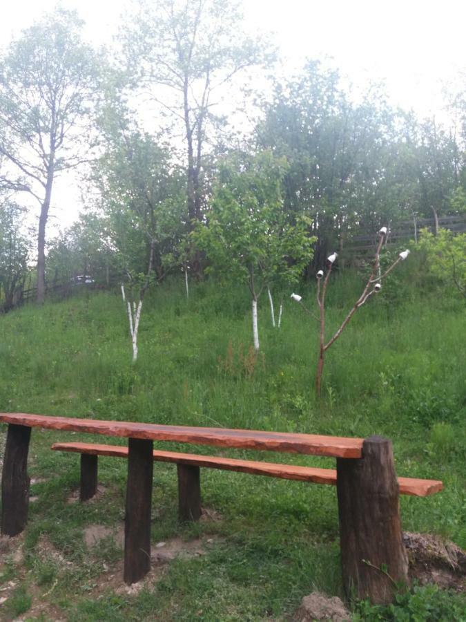 Cabana Victor Sighetu Marmaţiei Esterno foto